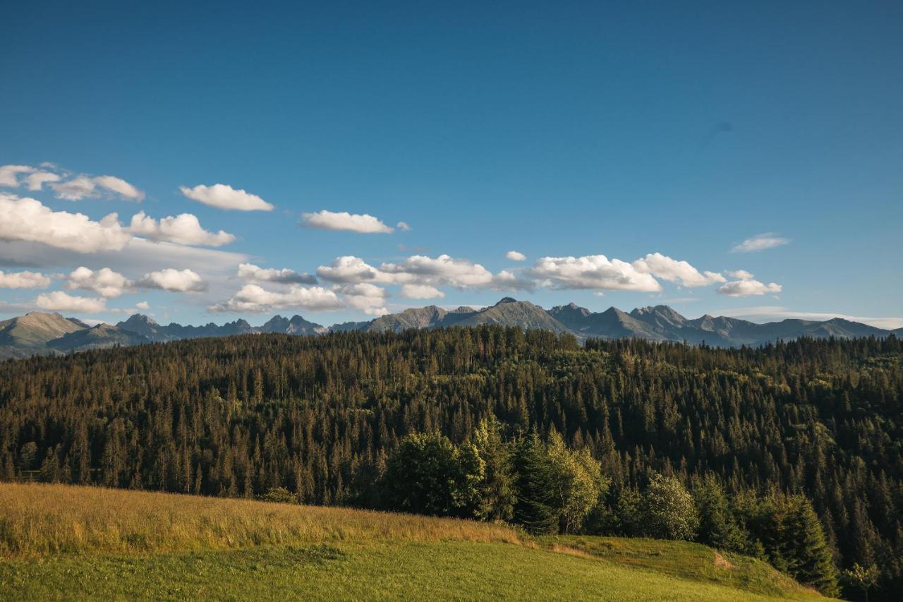 Pod Gontem Apartamento Bukowina Tatrzańska Exterior foto